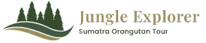 Sumatra Orangutan Tour