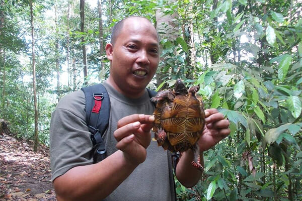 Sumatra Orangutan Tour - tour guide (2) Sumatra Orangutan Tour - tour guide (2)