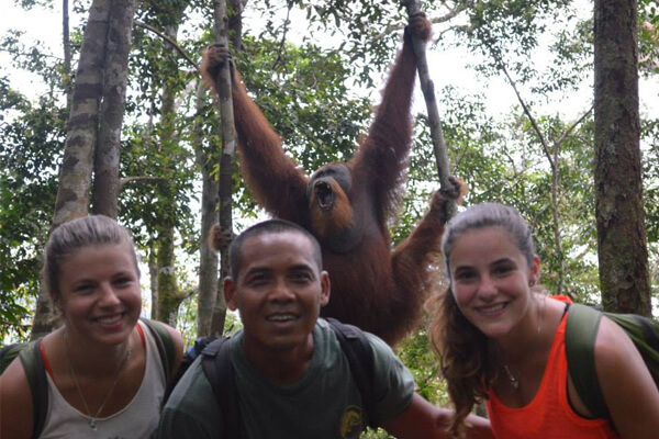 Sumatra Orangutan Tour - tour guide (3) orangutan trekking sumatra