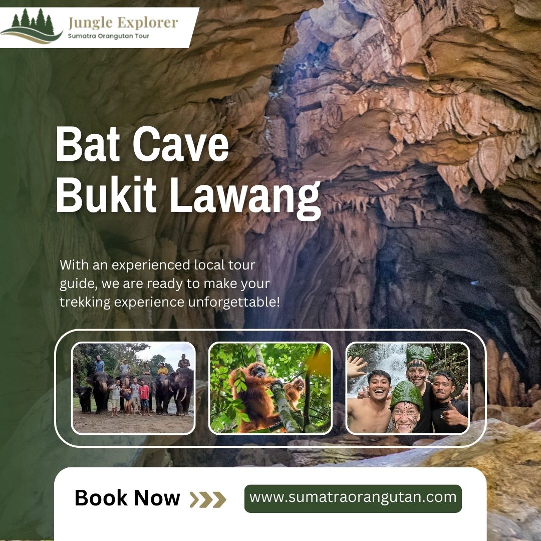 Bat Cave Bukit Lawang